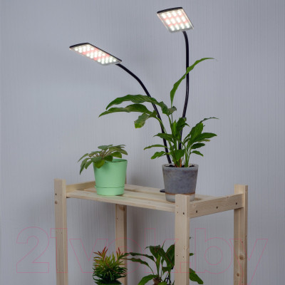 Светильник для растений Uniel ULT-P37-24W/SPFB/TM/60 IP40 Black Twin / UL-00010378 - фото 7 - id-p225078684