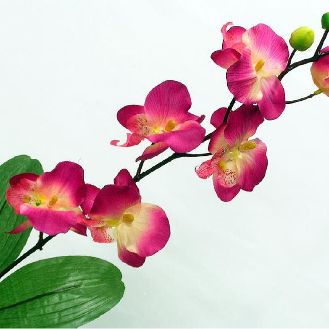 Орхидея искусственная Margot - фото 2 - id-p225085427