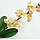 Орхидея искусственная Cream, фото 3