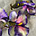 Орхидея искусственная Violet, фото 4