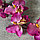 Орхидея искусственная Fuchsia, фото 3