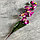 Орхидея искусственная Fuchsia, фото 2