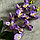 Орхидея искусственная Beautiful, фото 3