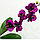 Орхидея искусственная Dark violet, фото 2