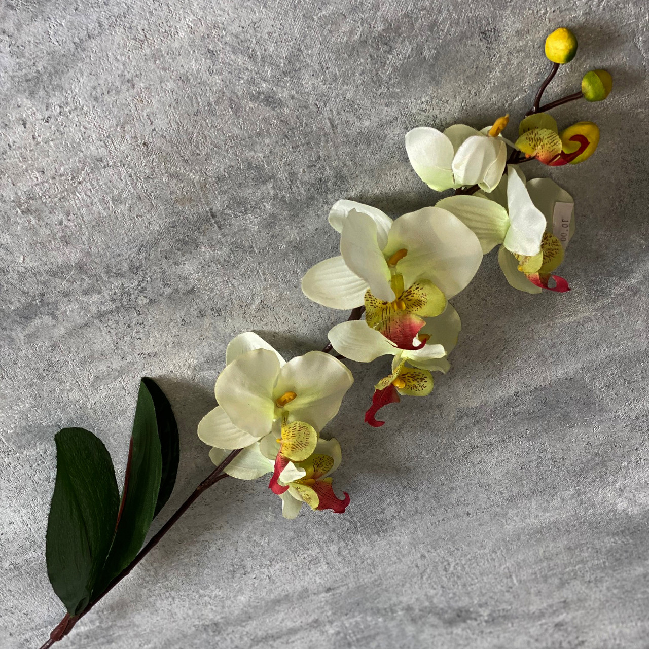 Орхидея искусственная Mint