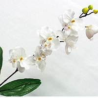 Орхидея искусственная White