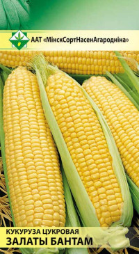 Семена Кукуруза сахарная Золотой бантам (4 гр) МССО - фото 1 - id-p122507322