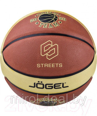 Баскетбольный мяч Jogel Dream Team / BC21 - фото 2 - id-p225093196