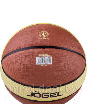 Баскетбольный мяч Jogel Dream Team / BC21 - фото 6 - id-p225093196