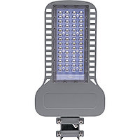 Уличный светодиодный светильник SP3050 100W 5000K AC230V/ 50Hz цвет серый IP65
