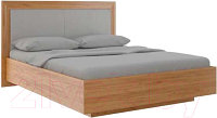 Двуспальная кровать Rinner Глэдис М33 с ПМ 160x200