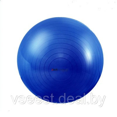 Мяч гимнастический 65 см., CLASSIC, Armedical GM-65 - фото 1 - id-p225111911