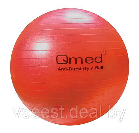 Мяч гимнастический (Фитбол) 55 см., Qmed, фото 2
