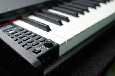 Цифровое фортепиано MikadO MK-1000B - фото 5 - id-p225085143