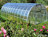 Сотовый поликарбонат для теплиц 4мм прозрачный (600гр/м2) "TITANPLAST", лист 2,1*6м, фото 6