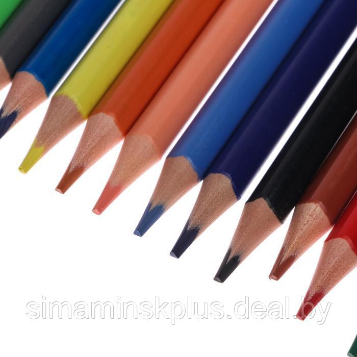 Карандаши цветные 36 цветов Funcolor пластиковые, МИКС - фото 5 - id-p225134152