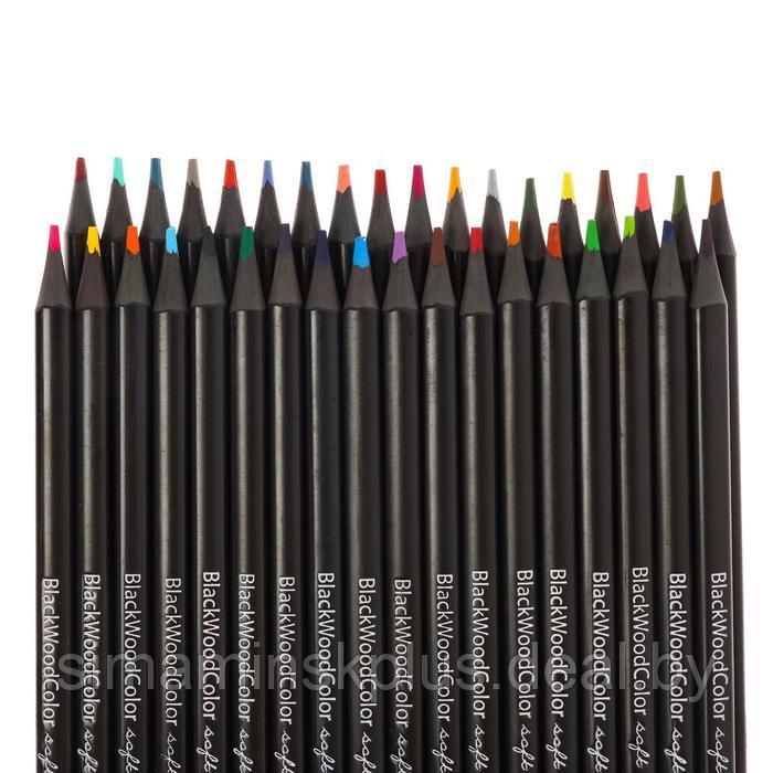 Карандаши цветные 36 цветов BlackWoodColor, пластиковые, трёхгранные, МИКС - фото 3 - id-p225134154