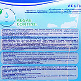 Жидкость Альгитинн для борьбы с водорослями в бассейне, 10 л, фото 2