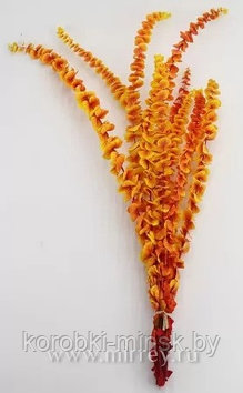 Эвкалипт стабилизированный "Бэби Блю", длина 60-65 см, 10 шт./упак., градиент оранжево-желтый
