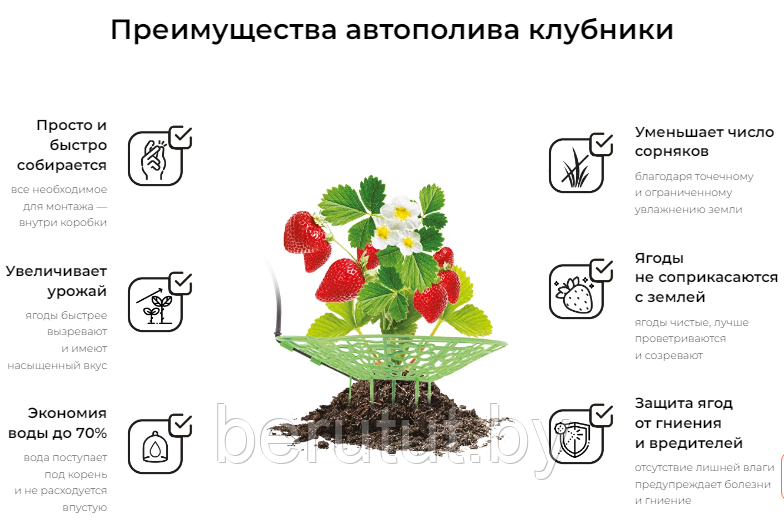 Капельный полив Жук от емкости для клубники 20 растений - фото 5 - id-p225142604