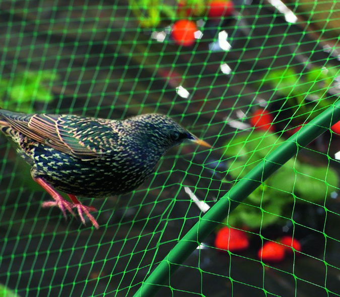Сетка для защиты от птиц 2х5м. Защити свой урожай! - фото 3 - id-p225148023