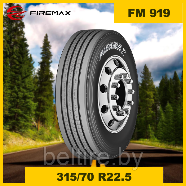Шины грузовые 315/70 R22.5 FIREMAX FM 919 - фото 1 - id-p225152416