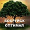 Частное производственно-торговое унитарное предприятие "Бобруйск-оптимал"