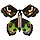 Сувенир к подарку "Летающая бабочка ", фото 2