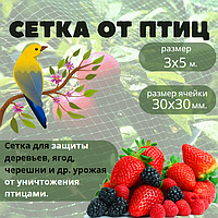 Сетка для защиты от птиц 3х5м. Защити свой урожай!