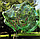 Сетка для защиты урожая от птиц, грызунов и др. вредителей 3х10 м. (ячейка 30х30 мм.), фото 5