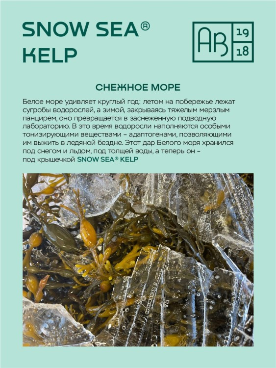 Келп, водоросли бурые в таблетках ламинария и фукус, Snow sea® Kelp 224 таб. - фото 5 - id-p225187112
