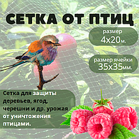 Сетка для защиты урожая от птиц 4х20  м. (ячейка 35х35 мм.)