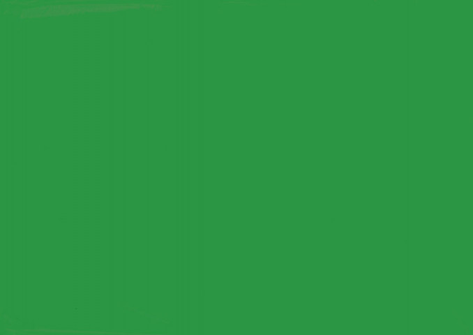 Бумага цветная для скрапбукинга Folia зеленый изумруд