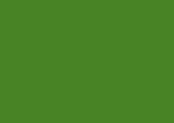 Бумага цветная для скрапбукинга Folia зеленая травяная - фото 1 - id-p225191282