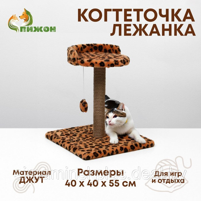 Когтеточка малая "Арена" с игрушкой, 40 х 40х 55 см, джут, леопард - фото 1 - id-p225191345