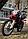 Мотоцикл RACER RC300-GY8Х Panther красный, фото 4