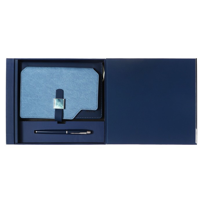 Органайзер на кольцах, А6+, с хлястиком, 80л, линия, к/зам,с ручкой,в подар.короб,Синий - фото 1 - id-p225198135