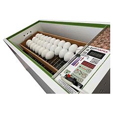 Инкубатор для яиц Блиц НОРМА Парка 120 яиц, фото 2