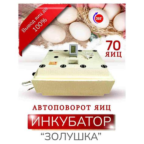Инкубатор для яиц "Золушка-2020" 70 яиц ( Цифровой, автомат, гигрометр, питание 220в), фото 2