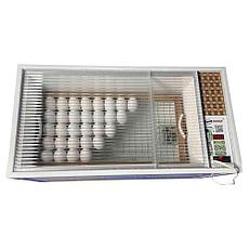 Инкубатор для яиц Блиц «НОРМА 72 Луппер» С8 (цифровой, 12/220в), фото 2