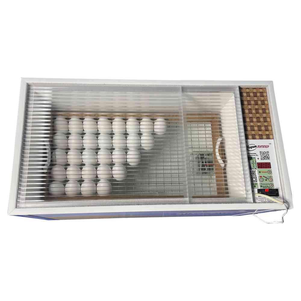Инкубатор для яиц Блиц «НОРМА 72 Луппер» С8 (цифровой, 12/220в) - фото 2 - id-p225202477