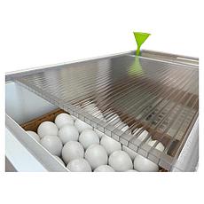 Инкубатор для яиц Блиц «НОРМА 72 Луппер» С8 (цифровой, 12/220в), фото 3
