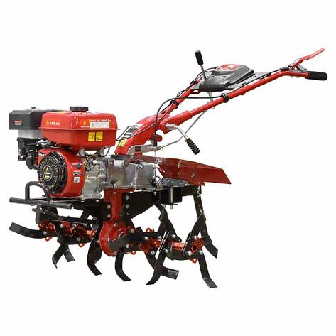 Культиватор ASILAK SL-84L (с пониж. передачей) без колес, фото 2