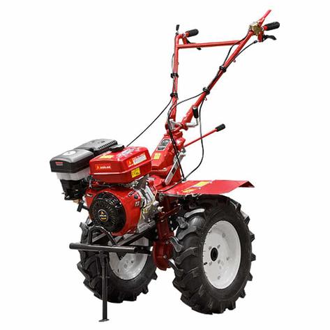 Культиватор ASILAK SL-186L (6.50-12) пониженная передача, фото 2
