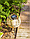 Фонарь садовый уличный / светильник декоративный на солнечной батарее "Мальдивы" ротанг ЧУДЕСНЫЙ САД, фото 7