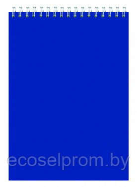 Блокнот Silwerhof A5 мелов.картон 60л клетка гребень синий - фото 1 - id-p225206888
