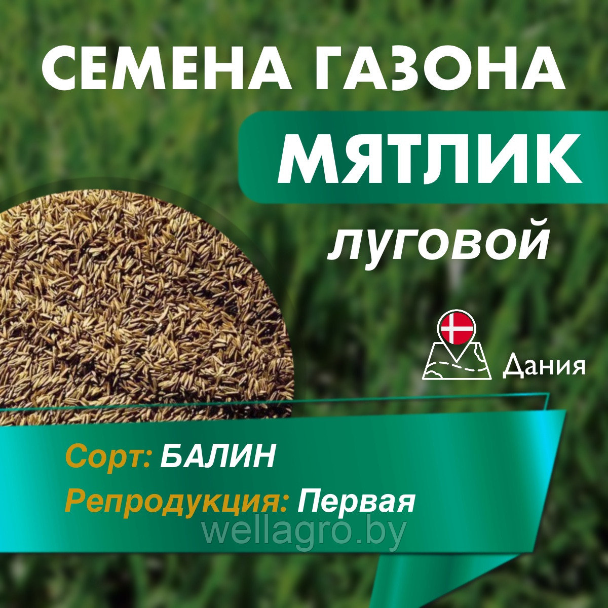 Газонная трава семена "Мятлик" луговой (сорт Балин), кг