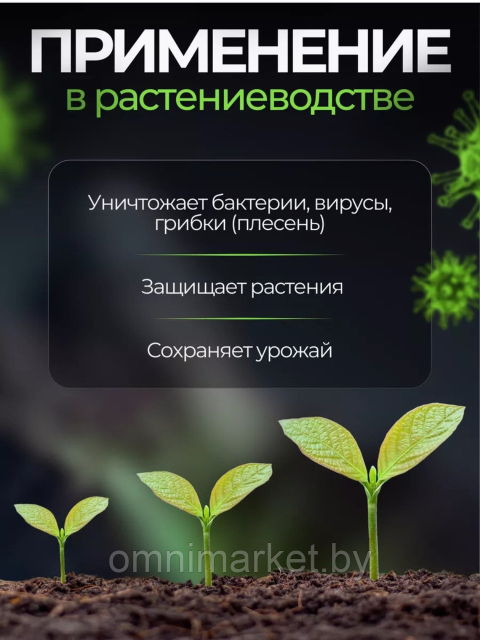 Препарат Биопаг-Д против плесени и длительной антимикробной защиты, Россия - фото 4 - id-p158141640