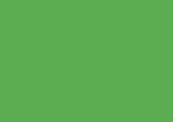 Бумага цветная для скрапбукинга Folia светло-зеленая - фото 1 - id-p225217352