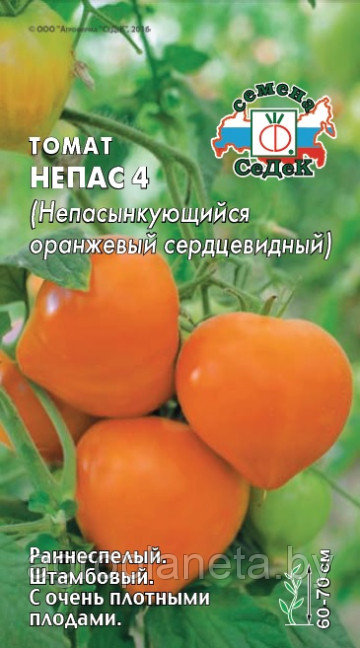 Томат НЕПАС 4 (непасынкующийся оранжевый сердцевидный), 0.1г - фото 1 - id-p225240608